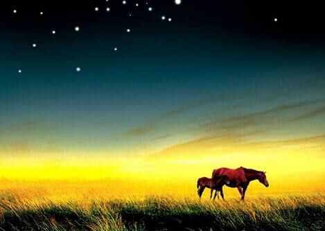 解密《易经》第63卦水火既济卦:大成若缺,更好地把握成功