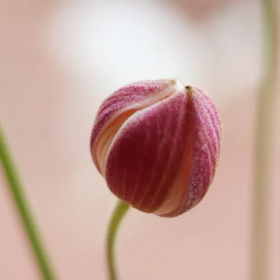 主卦水风井变卦水泽节卦象查询_井卦 九二_井育娃与卦签