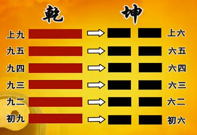 曾仕强万物，人是万物之灵，几千年以前我们的先人用智慧创造了天地之学《易经》