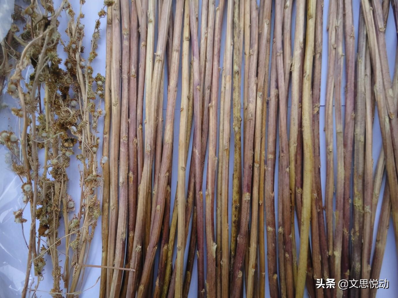 晋卦六五爻_易经晋卦六爻_晋卦六爻详解