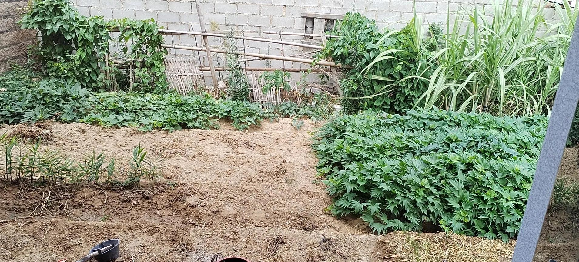 风水别墅客厅养什么花_风水客厅摆件风水禁忌_爱家客厅风水知识 客厅装修风