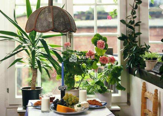 风水客厅摆件风水禁忌_风水别墅客厅养什么花_爱家客厅风水知识 客厅装修风