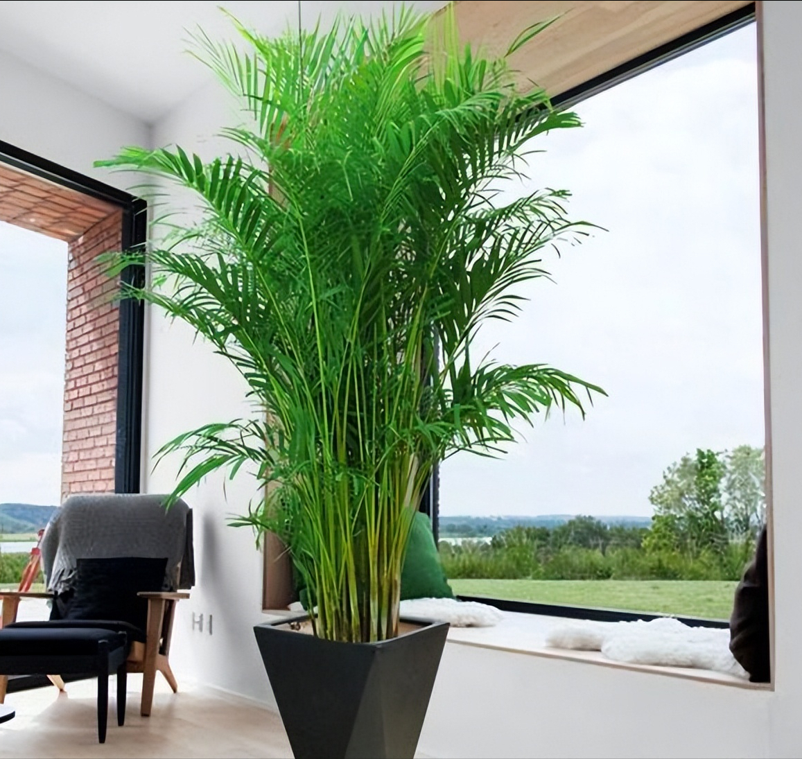 风水别墅客厅养什么花_别墅客厅位置风水_别墅客厅装修风水禁忌