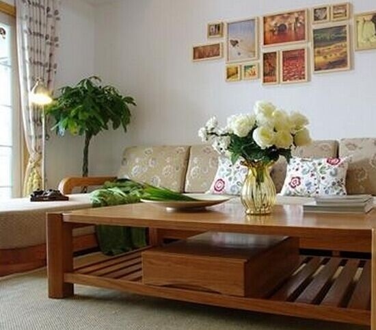 客厅植物摆放风水禁忌财运状况