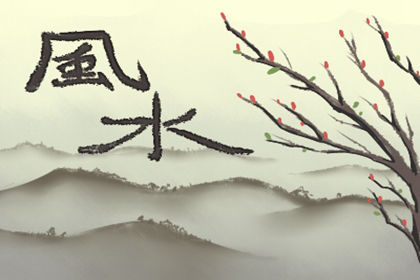 小客厅摆餐桌风水_客厅水族箱摆放的风水_客厅摆铜壶的风水