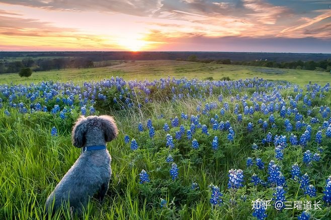 文王金钱64卦火泽睽_火泽睽卦感情发展_女占火泽睽卦看姻缘