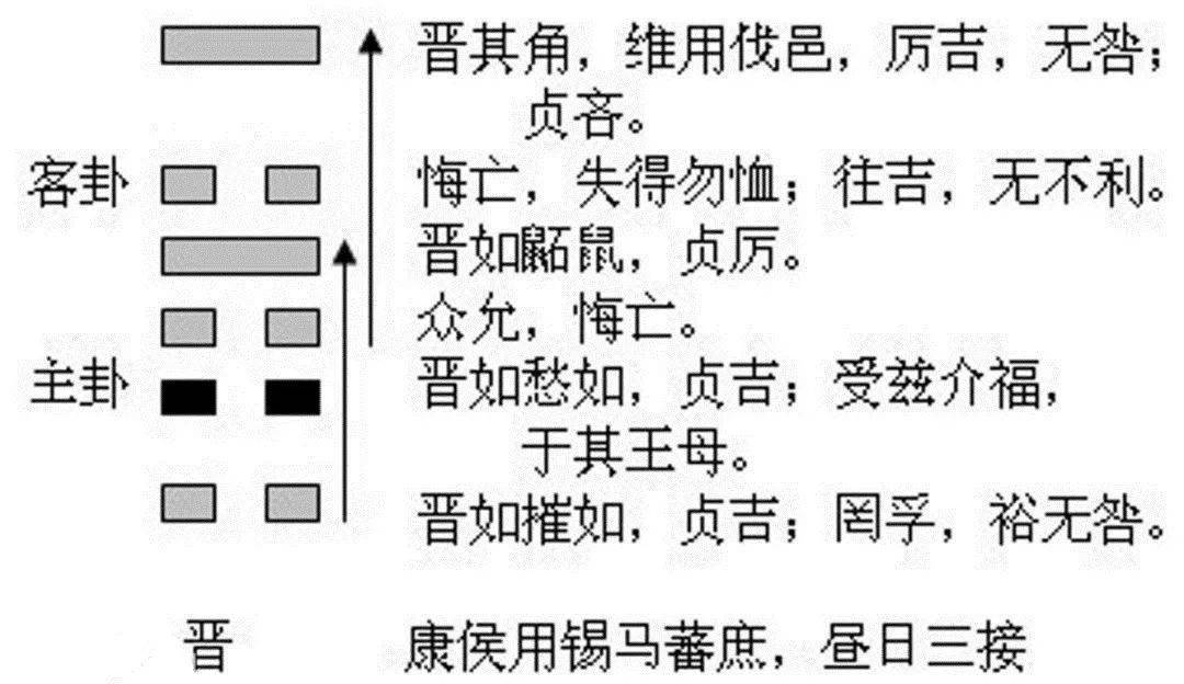 邵子神数本命卦变六亲卦数方法_履卦六亲_易经履卦讲解