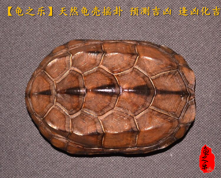 山水蒙卦事业_问家运占山水蒙卦_蒙卦 彖传