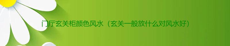 门厅玄关柜颜色风水（玄关一般放什么对风水好）