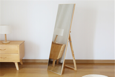 门厅镜放哪风水好_美容院放几张床好风水_客厅放什么植物好风水