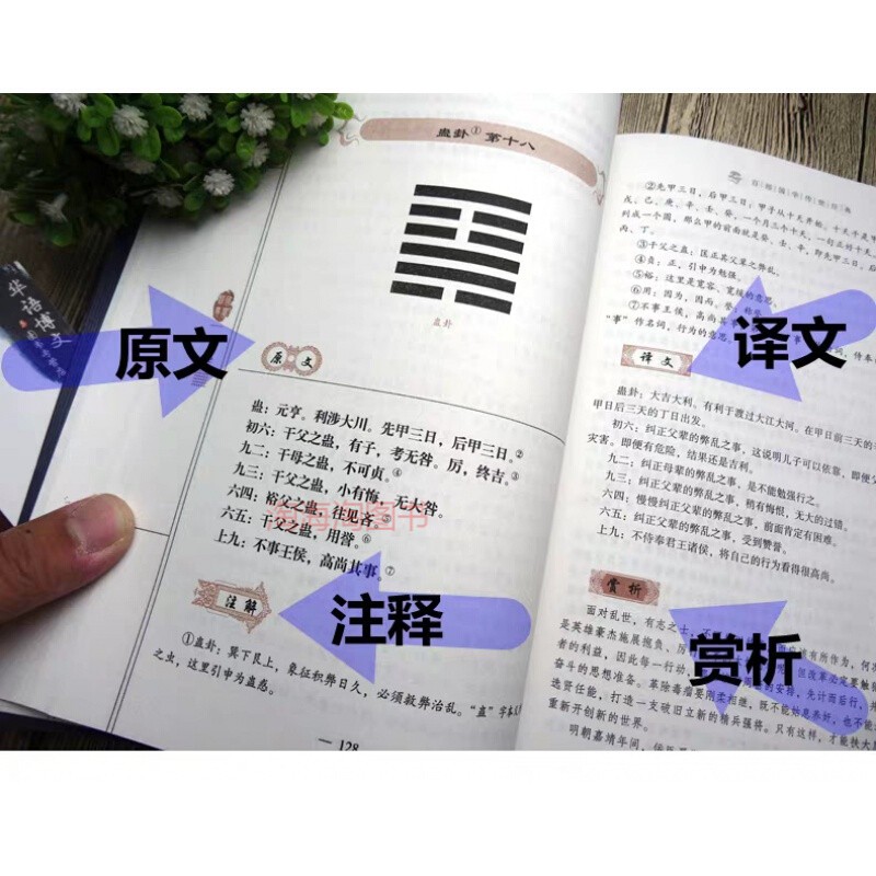 雷火丰卦变地火明夷卦_雷火丰卦变地火明夷_明夷卦变泰卦升迁