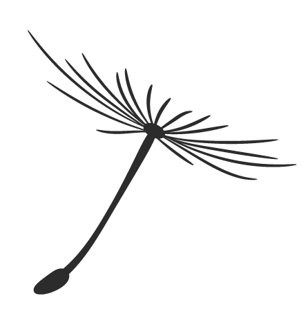 噬嗑卦变震卦_离为火卦详解_火雷噬嗑卦之离为火