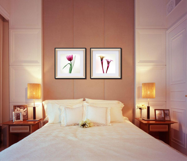 书房挂什么画风水好_书房好风水_鹿画挂客厅风水好吗