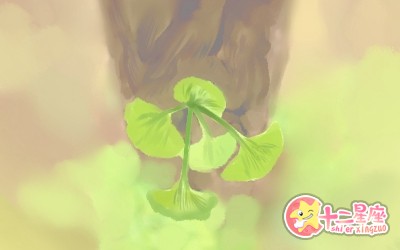 书房风水的禁忌，书房装修风水十禁忌！你知道吗？