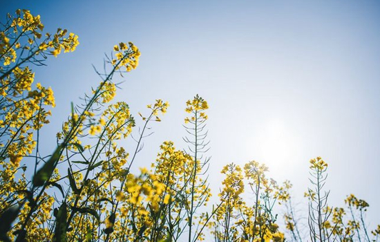 书房装修风水禁忌有哪些？之人都会很重视