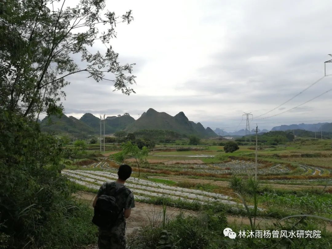 风水金鱼养几条好旺财_祖坟风水好是旺丁还是旺财_祖坟风水是科学吗