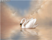 曾仕强解易经六十四卦多少钱曾仕强解卦