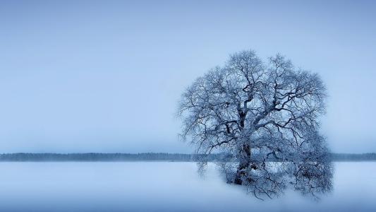 怎么看农村房屋风水？农村风水的讲究有哪些？