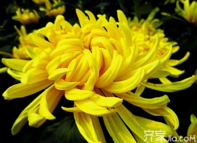 卧室7大方法巧化解 家居卧室风水知识_适合卧室的绿植风水_居室风水知识 卧室风水 中国高端风水