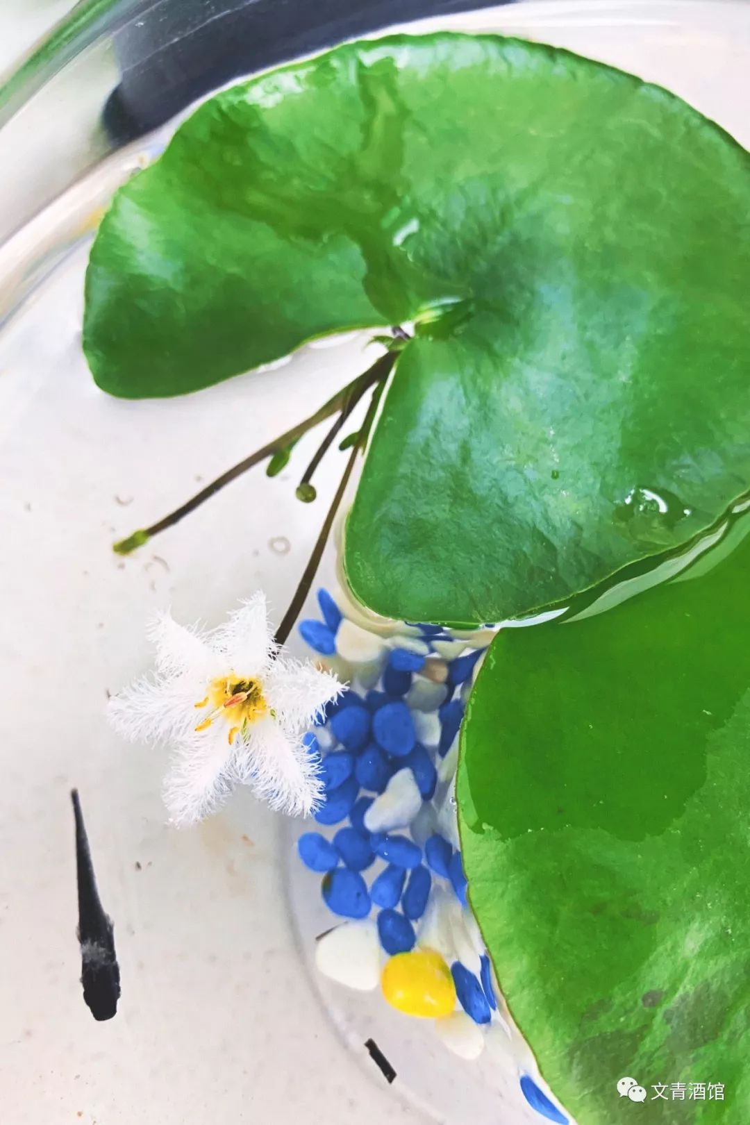 卧室墙面颜色 风水_卧室墙面挂饰风水_卧室墙面图案风水讲究