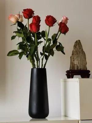 卧室花瓶风水 通畅的Wifi，窝在家里，撸猫撸狗追剧看书看电影