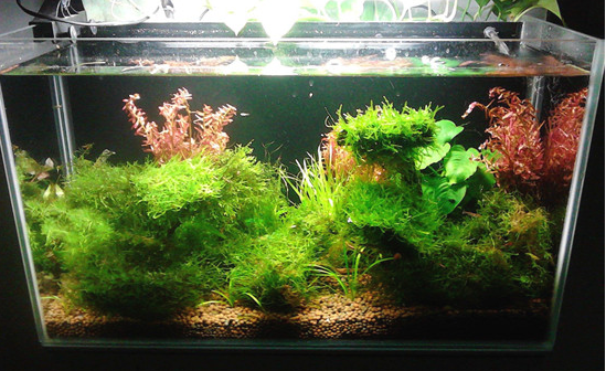 装修卧室风水禁忌_卧室风水禁忌_卧室装修风水禁忌要点