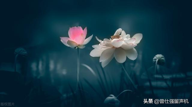 泽山咸卦测有没有爱过_泽山咸卦详解感情_女人占得泽山咸卦