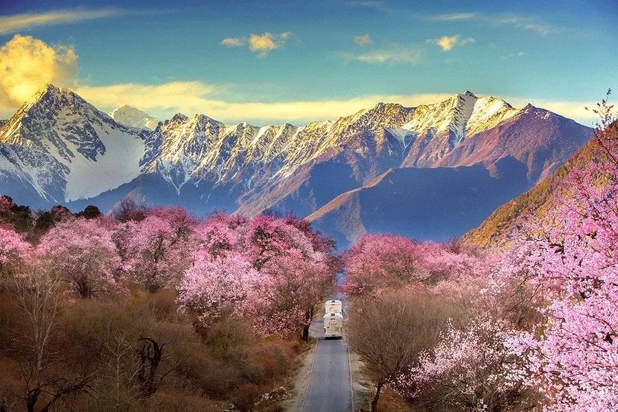 第九卦 小畜 风天小畜 巽上乾下_卦名:山天大畜变风雷益 求学业_小畜卦事业