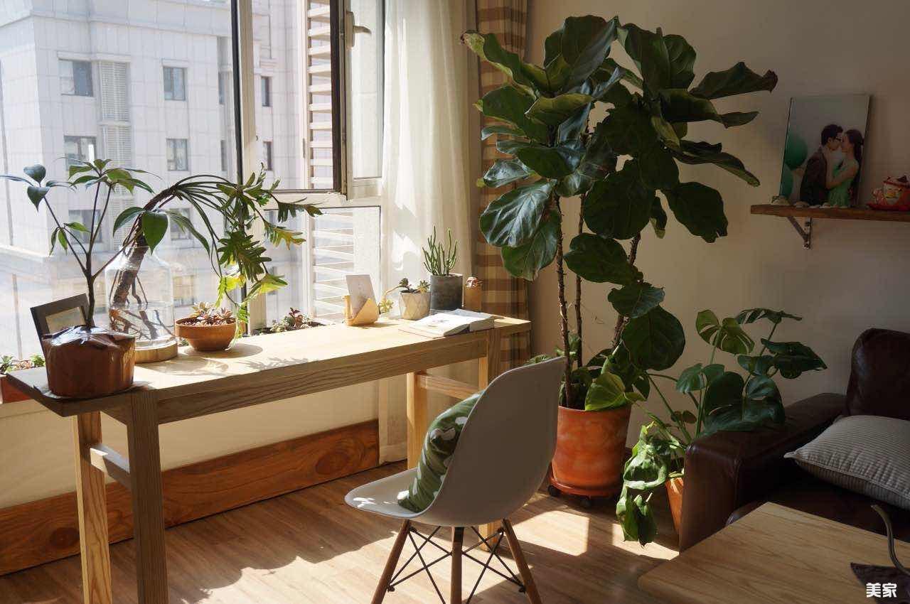 玄关画挂多高合适_玄关挂荷花风水_玄关两鹿画挂什么图最好 风水