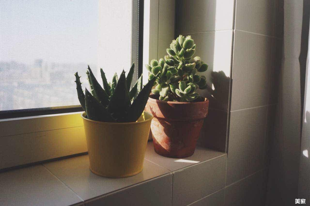 玄关两鹿画挂什么图最好 风水_玄关挂荷花风水_玄关画挂多高合适