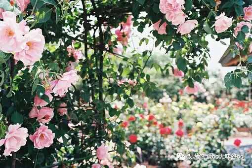 入户玄关柜装修效果图_玄关灯具安装风水讲究_装修入户玄关图有风水讲究吗