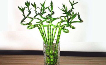 进门玄关10大风水禁忌是什么？布置玄关需要注意什么？