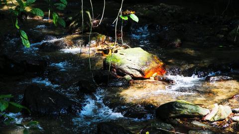 《周易》——风水涣巽上坎下求解卦,问健康?