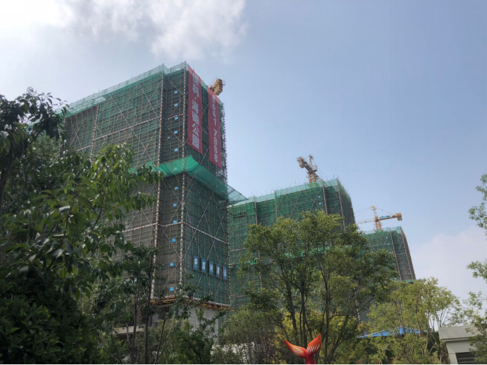 看房带上狗风水_风水讲看房时下雨_商品房风水是看入户门还是看阳台