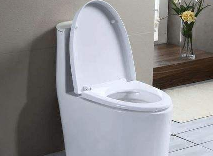 年轻人安装马桶是需要讲究风水的，你知道吗？