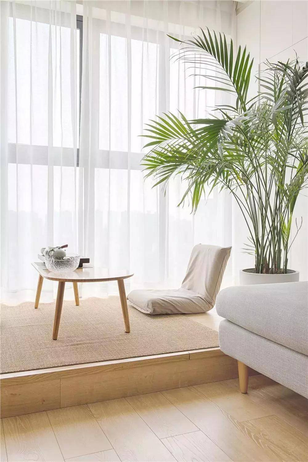 腊梅的寓意和象征风水_吊兰养在阳台的寓意和象征风水_马的寓意和象征风水