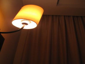 能催旺桃花运的风水物品有哪些?快速招桃花的妙招