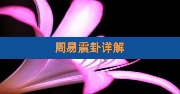 周易震卦具体说什么?八卦略有为雷的解释震