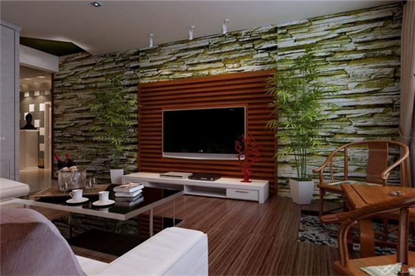 室内放什么植物比较好以及放植物的位置有什么讲究