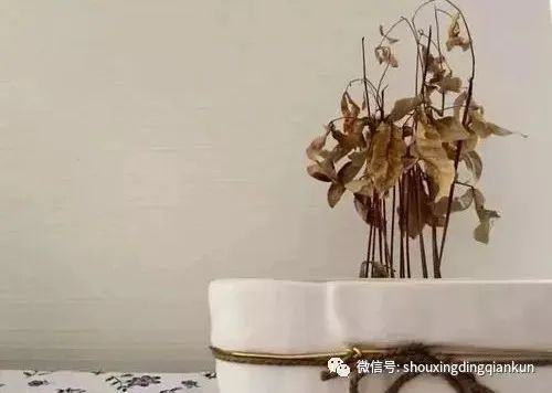 命的风水不好，就会害命，风水决定命运！