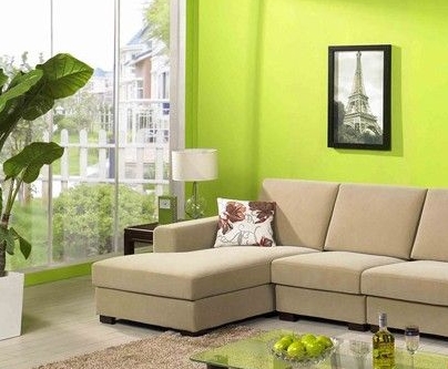 常青盆栽是很好的室内饰物，你了解植物风水多少？