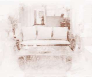 如何摆放家庭风水植物好？家庭摆放风水