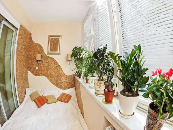 植物风水李德雄_家居植物风水_植物的风水