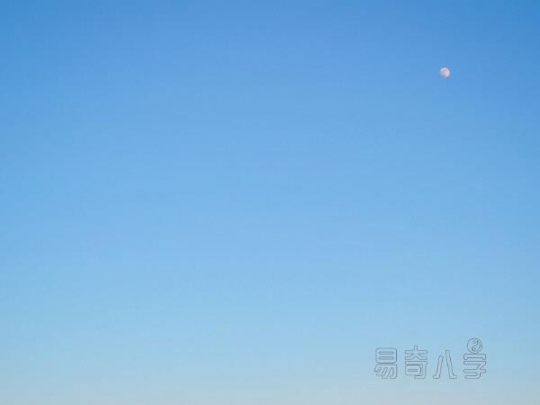 家里适宜养什么花？适宜的风水植物