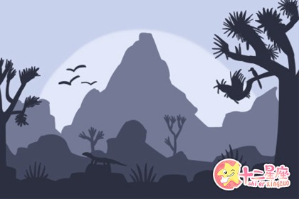 客厅财位上可以催财旺运呢的植物！