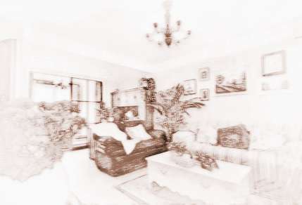 客厅财位客厅的财位在哪里_客厅财位风水植物_风水客厅植物