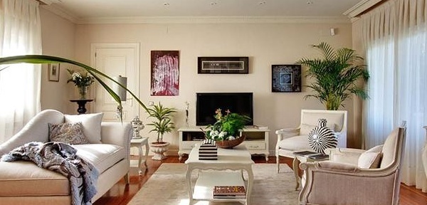 客厅财位客厅的财位在哪里_客厅财位风水植物_风水客厅植物