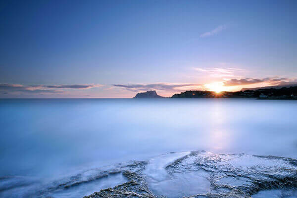 最旺宅的植物风水 居家风水中最旺财的18种植物