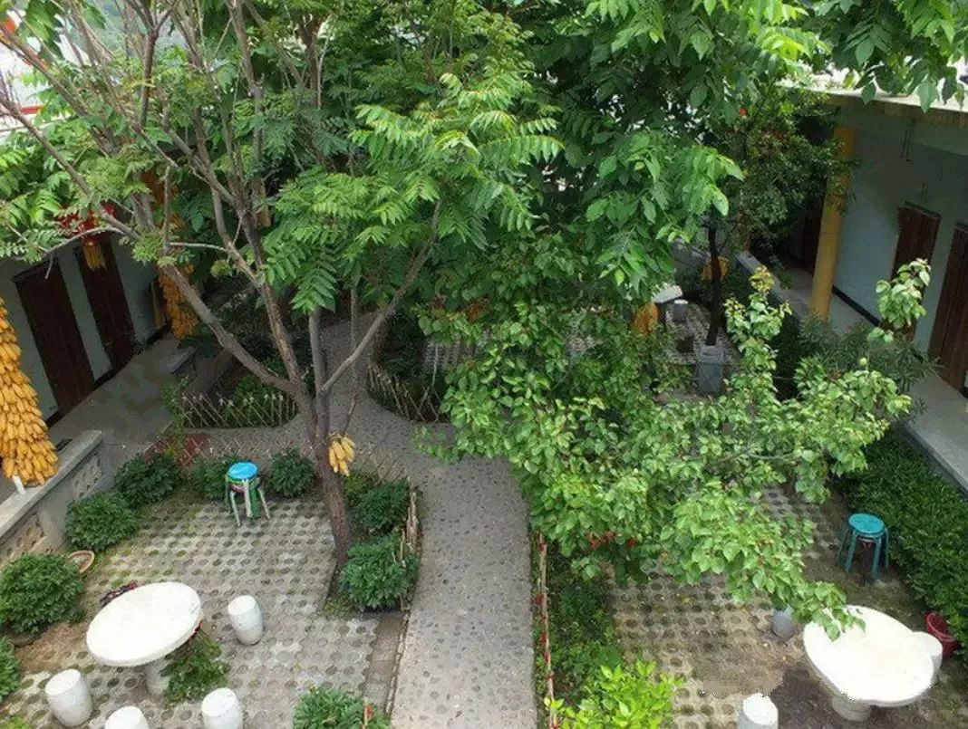 楼顶种什么植物对风水好_楼顶露台种什么树好_南方楼顶适合种什么植物好