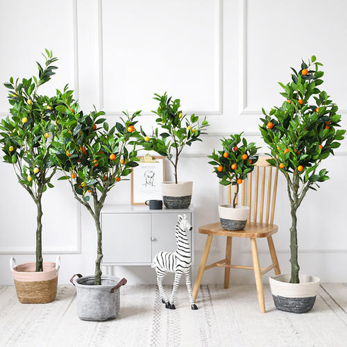 进门第一眼就会夸赞你的好品味！进门就能看到